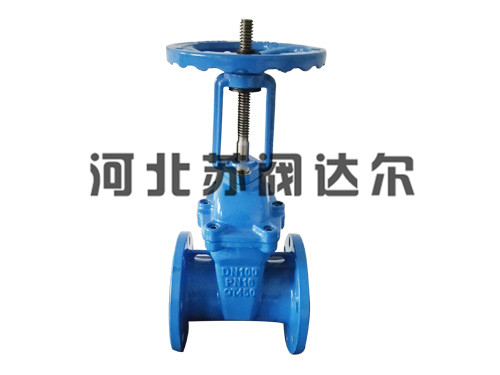 大体明杆弹性座封闸阀