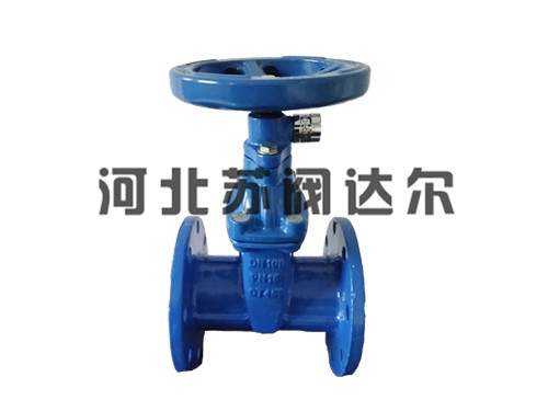 小体磁性锁闭弹性座封闸阀