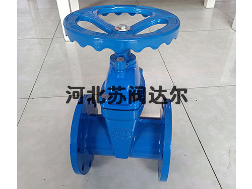 赣玛体