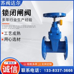 赣马体软密封侧锁闭闸